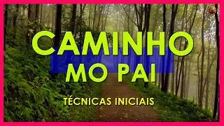 O caminho | T&Eacute;CNICAS MO PAI | For&ccedil;a CHI | Parte 1