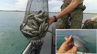 ЧЁРНОЕ МОРЕ РАДУЕТ УЛОВОМ / THE BLACK SEA HAPPY CATCH