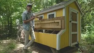 Backyard Chicken Coop Review! Cost to Build & Future Plans