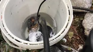 Rinse pump