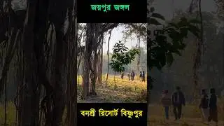 Escape to Joypur Forest: A Weekend Adventure #bishnupur #jangalmahal