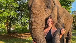 SWIMMING WITH MY ELEPHANT SISTER (PART 2)