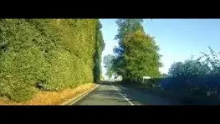 Autumn Road Trip Drive To Visit Beech Hedge Meikleour Perthshire Scotland