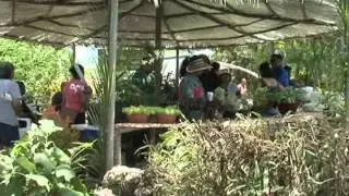 Guam restaurants creatively utilizing local produce