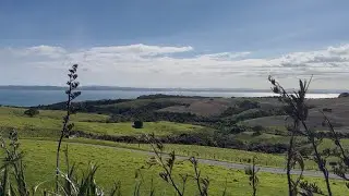 Shakespear Regional Park is where lush bush, golden beaches, and sweeping sea views come together.⛰️