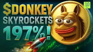 Dogecoin Surges On Trump ETF Buzz | Little Pepe Hits $20M | Donkey Token Explodes | 3.0 TV