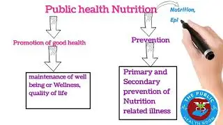 Nutrition Basics & Principles You Need To Know | public health essentials