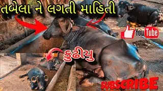 ખાણ લેવા ગયાં #trending #vlog #sisodiya mahendra vlogs #funny #comedy #funnycomedy #viral #jaimatadi