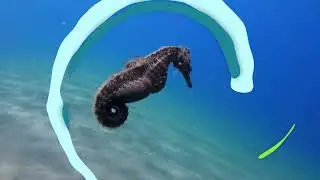 CSLP PSA Short 2 Oceans of Possibilities - English