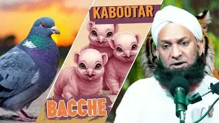 Kabootar Uske Bacche Aur Bagh Ke Malik Ki Sabaqaamoz Kahani
