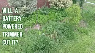 Worst Yard In The Neighborhood Vs. Battery String Trimmer