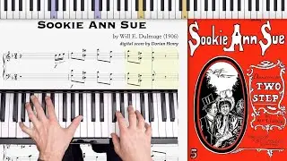 Sookie Ann Sue by Will Dulmage (1906, Ragtime piano)