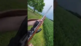 Chrome line Sporter .22 rifle.
