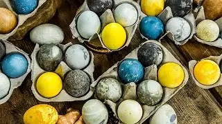 All Natural Easter Egg Dye