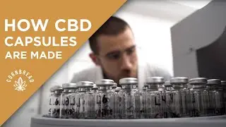 Full Spectrum CBD Capsules | How They're Made