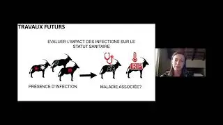 Conservation science: the use of molecular tools to support conservation reintroductions