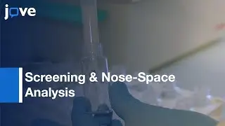 PTR-ToF-MS, Sampling System & Tailored Data Analysis: Bioprocess Monitoring l Protocol Preview