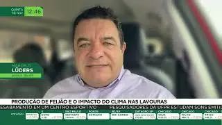 Produ&ccedil;&atilde;o de feij&atilde;o e o impacto do clima nas lavouras