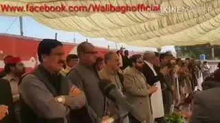 ANP harnai