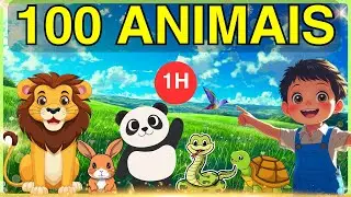 1 Hora Aprendendo os Nomes dos Animais - 100 Animais Diferentes!