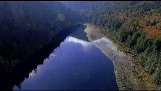Protect Echo Lake Ancient Forest - Drone Footage 2016