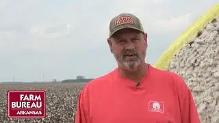 Tropical Weather Effects | Farmer Update: Matt Miles, Desha County