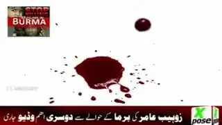 burma muslim killing.. plz help those people plzzzzzzzzzzzzz