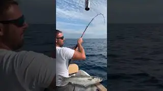 Come esca un cefalo da 1 kg #lovefish #pescare #ricciola