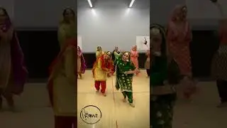 Mere Veer Da Viah 😻 #sifat #folk #giddha #bolian
