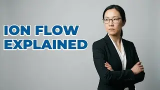 How Does Ion Flow Affect Neuronal Excitability?