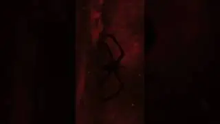 Stranger things sky mind flayer overlay video #vecna #strangerthings