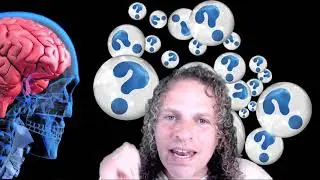 Are the core assumptions of brain recognition correct? (short version)