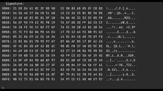 Tutorial Java Mutual SSL TLS Demo with a server and a client application