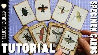 Specimen Cards Junk Journal Ephemera Ideas Tutorial