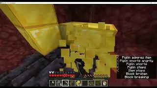 Hexagonian Speedrun tournament Seed 1 9:06  (run starts at 4:20)