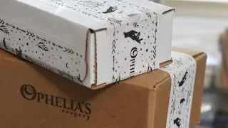 Shipping Website/Shopify Orders