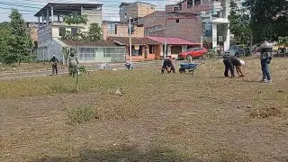 Reforestan &aacute;reas verdes de FONAVI con manchinga y quillosisa