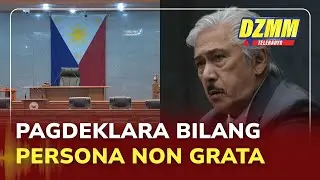 Senate to review declaring Chinese Emb. deputy spox persona non grata | (27 January 2026)