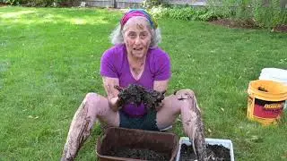 Happy International Mud Day!