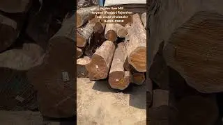 Premium quality teak wood wholesaler in Haryana and Punjab, Jagdev Saw Mill teak wood wholesaler