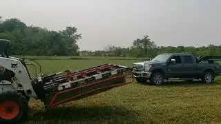 693 Bales Small Square Alfalfa For Sale
