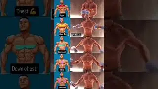 XBuild a Bigger Chest: Best Targeted Chest Workouts for Maximum Gains