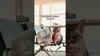 CAT MEMES 😾 WHEN YOU BOUGHT A TICKET 🎟️ AT MIDNIGHT TO SAVE MONEY 💰🤑 #cat #catmemes #shorts