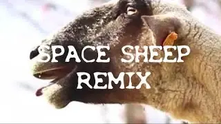 Oliver Heldens & Chocolate Puma - Space Sheep (Larian Remix)