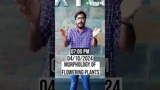 Full Chapter Revision: Morphology of Flowering Plants - Don't Miss It!
