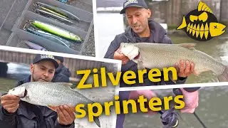 Op roofblei met Mehmet & Mourat - Zilveren sprinters in Rotterdam