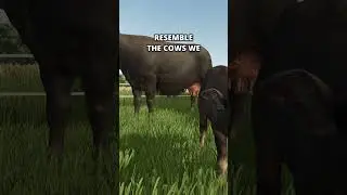 New Animals in Farming Simulator 25