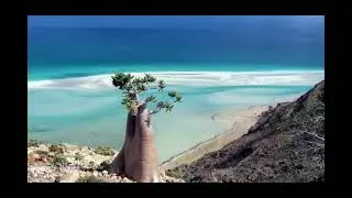 Socotra Island