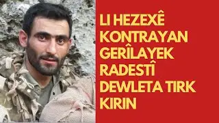Li hezexê kontrayan gerîlayek radestî dewleta Tirk kirin