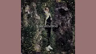 James Walker - Weathered (Stripped) (Official Audio)